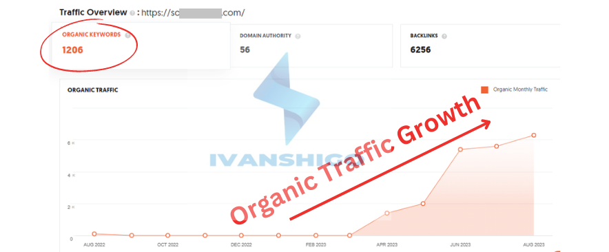 USA BASED Holistic Clinic Traffic Growth by Ivanshigo Group case studies Case Studies Holistic Wellness Clinic